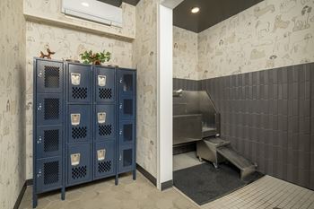 Pet wash area